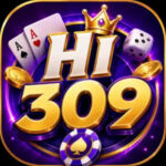 HI309 Game