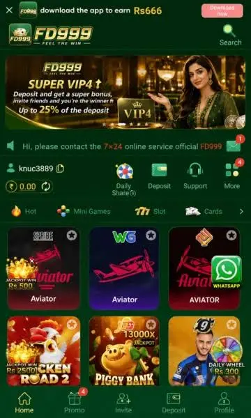 FD999 Game